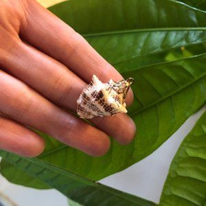 Seashell Pendant with Gold Fascinator for Necklace